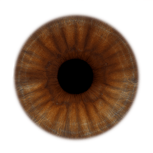 InsightSoul